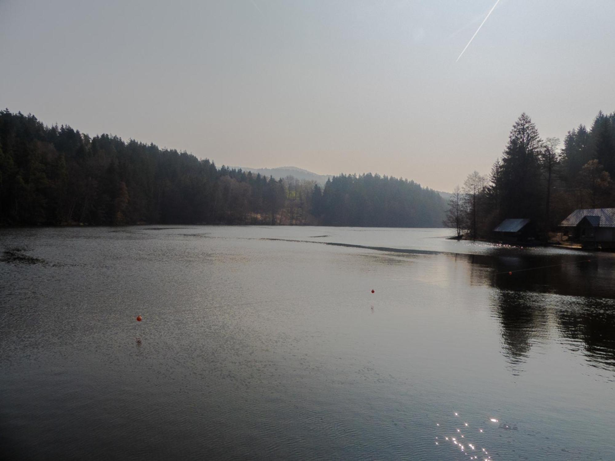 Ferienhaus Nr 11A2, Feriendorf Hagbuegerl, Bayr Wald Waldmünchen Esterno foto